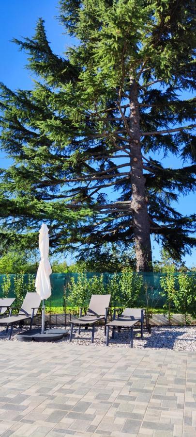 Villa Allegra Vižinada Kültér fotó